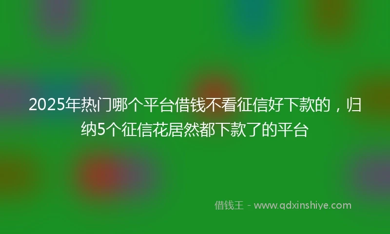 2025年热门哪个平台借钱不看征信好下款的，归纳5个征信花居然都下款了的平台