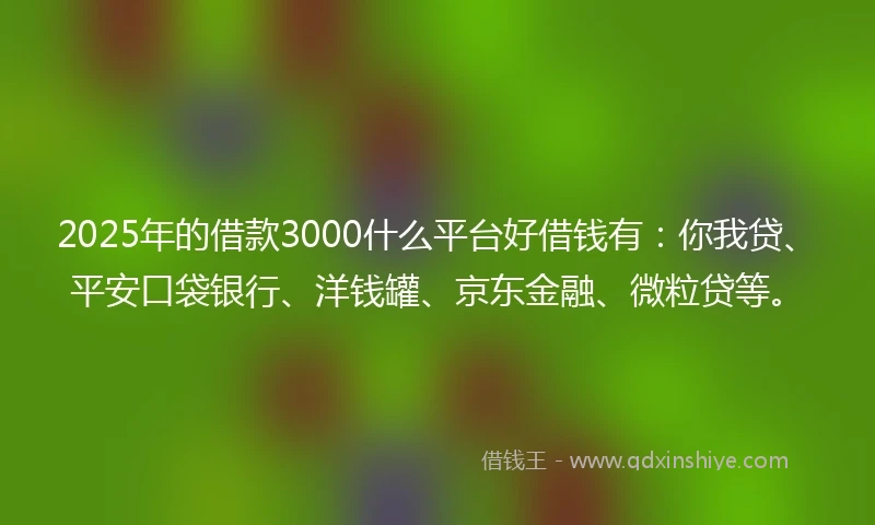 2025年的借款3000什么平台好借钱有：你我贷、平安口袋银行、洋钱罐、京东金融、微粒贷等。