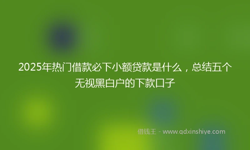2025年热门借款必下小额贷款是什么，总结五个无视黑白户的下款口子