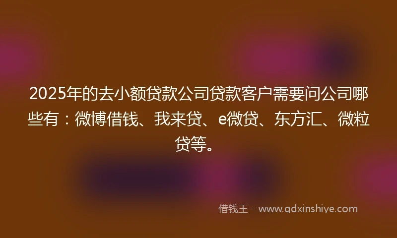 2025年的去小额贷款公司贷款客户需要问公司哪些有：微博借钱、我来贷、e微贷、东方汇、微粒贷等。
