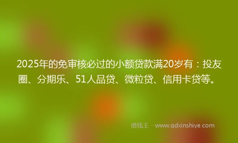 2025年的免审核必过的小额贷款满20岁有：投友圈、分期乐、51人品贷、微粒贷、信用卡贷等。