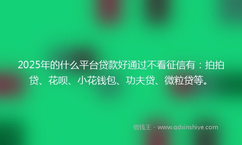 2025年的什么平台贷款好通过不看征信有：拍拍贷、花呗、小花钱包、功夫贷、微粒贷等。