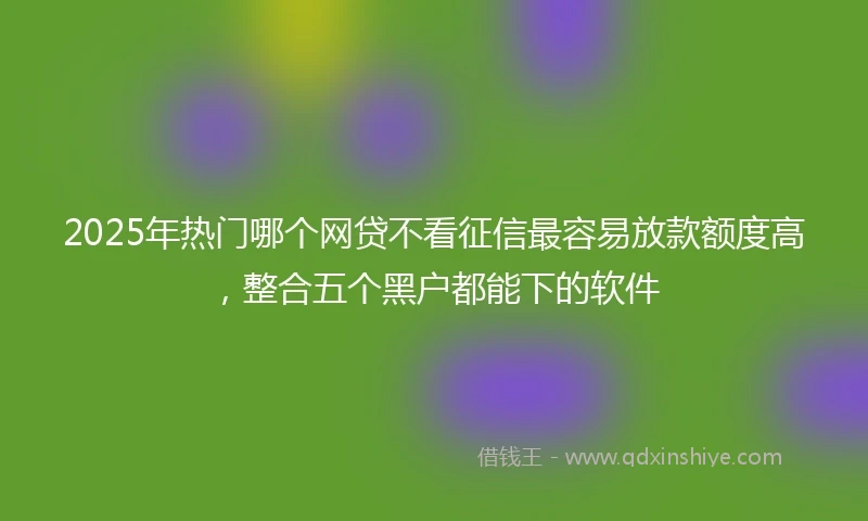 2025年热门哪个网贷不看征信最容易放款额度高，整合五个黑户都能下的软件
