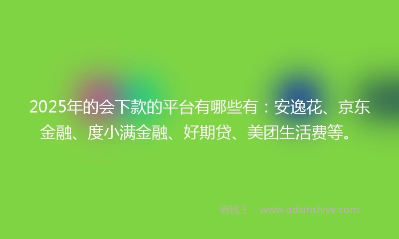 2025年的会下款的平台有哪些有：安逸花、京东金融、度小满金融、好期贷、美团生活费等。