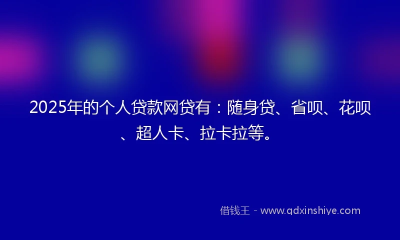 2025年的个人贷款网贷有：随身贷、省呗、花呗、超人卡、拉卡拉等。