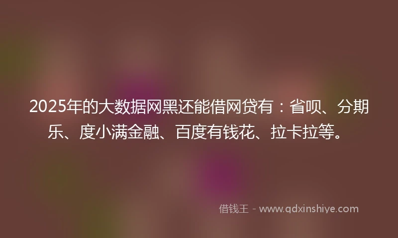 2025年的大数据网黑还能借网贷有：省呗、分期乐、度小满金融、百度有钱花、拉卡拉等。