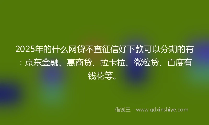 2025年的什么网贷不查征信好下款可以分期的有：京东金融、惠商贷、拉卡拉、微粒贷、百度有钱花等。