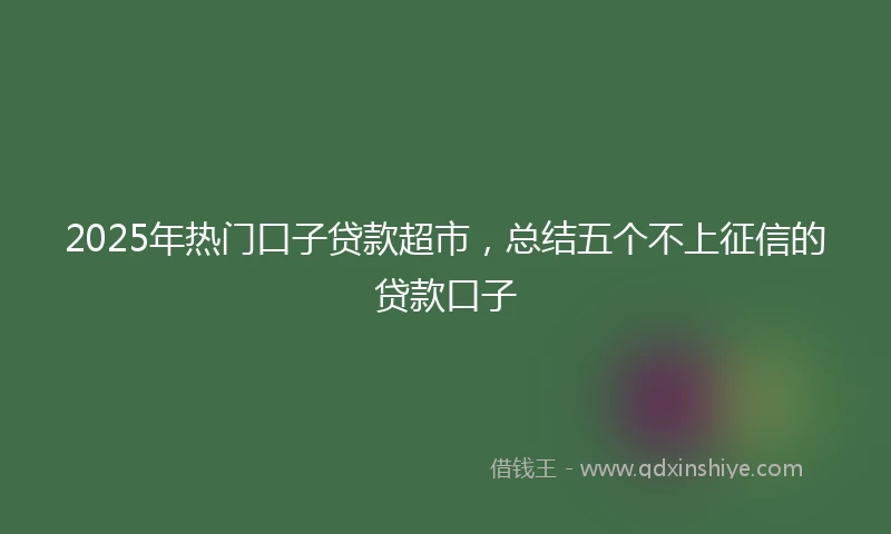 2025年热门口子贷款超市，总结五个不上征信的贷款口子