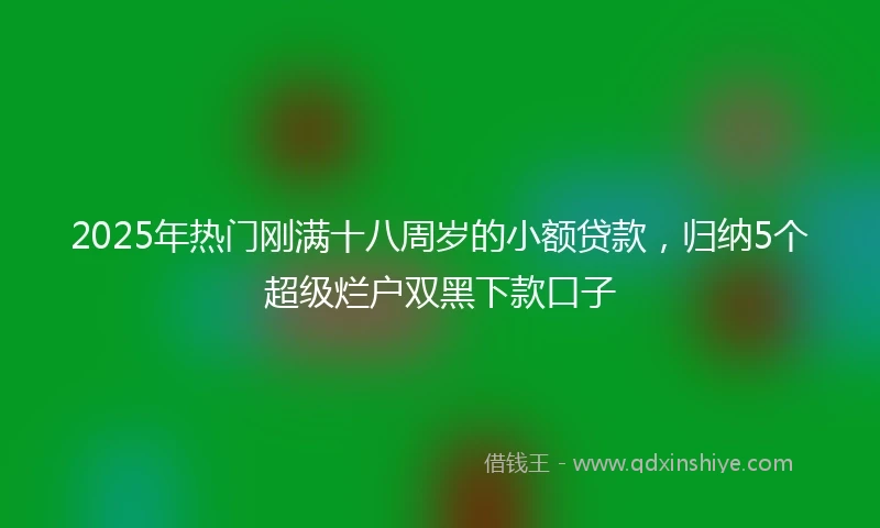 2025年热门刚满十八周岁的小额贷款，归纳5个超级烂户双黑下款口子