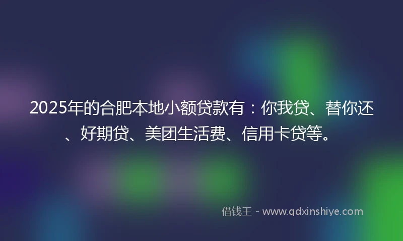 2025年的合肥本地小额贷款有：你我贷、替你还、好期贷、美团生活费、信用卡贷等。