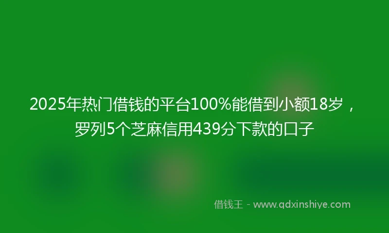 2025年热门借钱的平台100%能借到小额18岁，罗列5个芝麻信用439分下款的口子
