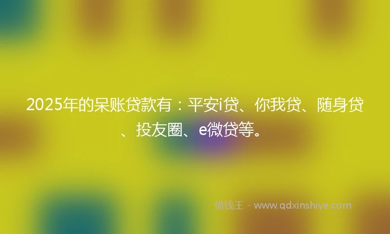 2025年的呆账贷款有：平安i贷、你我贷、随身贷、投友圈、e微贷等。