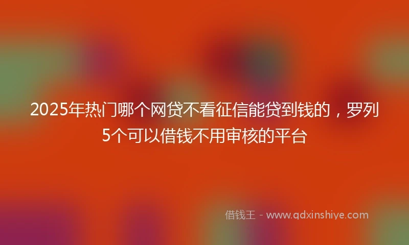 2025年热门哪个网贷不看征信能贷到钱的，罗列5个可以借钱不用审核的平台
