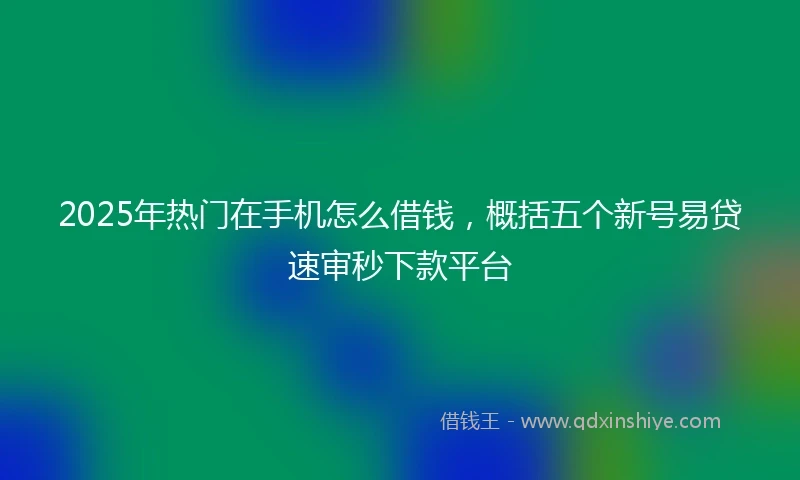2025年热门在手机怎么借钱，概括五个新号易贷速审秒下款平台