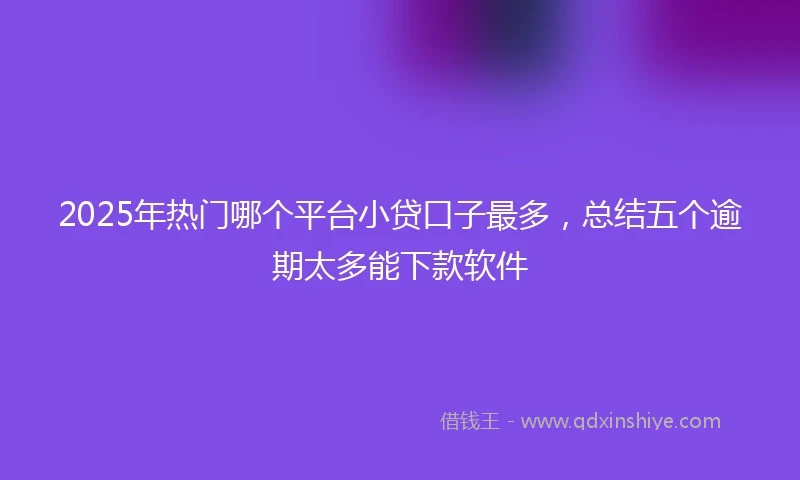 2025年热门哪个平台小贷口子最多，总结五个逾期太多能下款软件