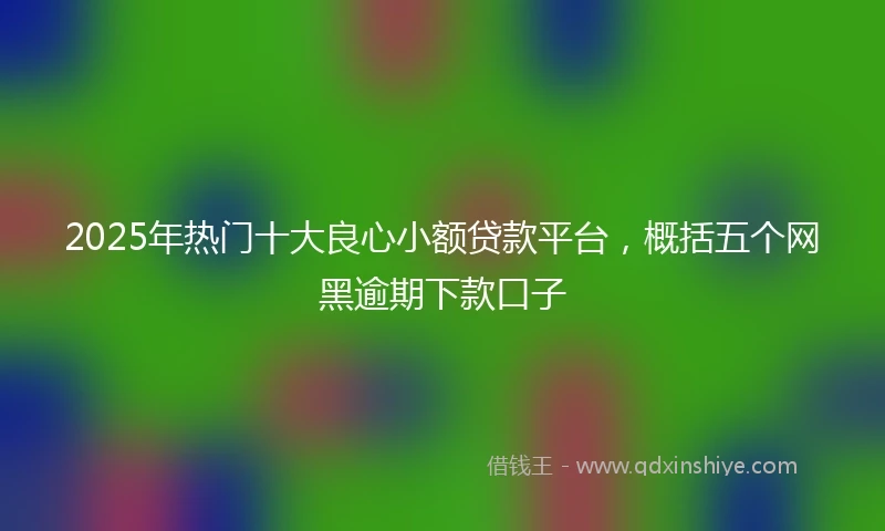 2025年热门十大良心小额贷款平台，概括五个网黑逾期下款口子