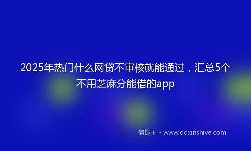 2025年热门什么网贷不审核就能通过，汇总5个不用芝麻分能借的app