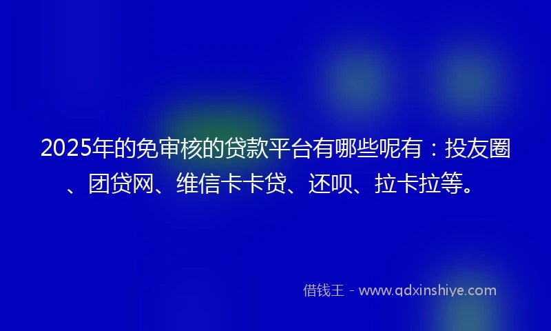 2025年的免审核的贷款平台有哪些呢有：投友圈、团贷网、维信卡卡贷、还呗、拉卡拉等。