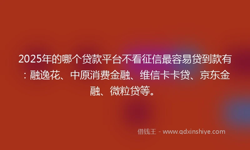 2025年的哪个贷款平台不看征信最容易贷到款有：融逸花、中原消费金融、维信卡卡贷、京东金融、微粒贷等。