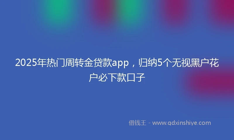 2025年热门周转金贷款app，归纳5个无视黑户花户必下款口子