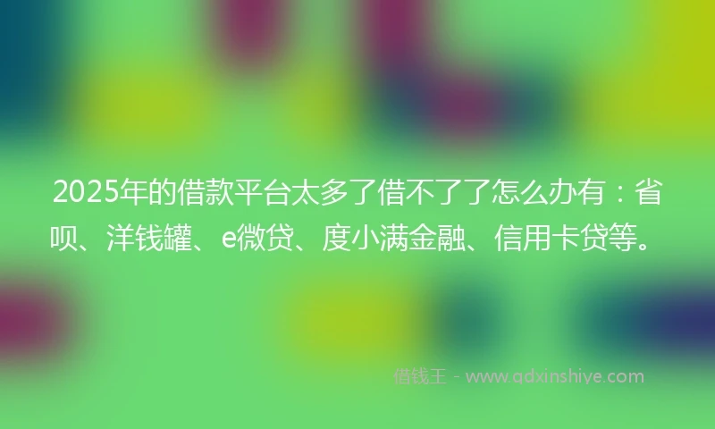 2025年的借款平台太多了借不了了怎么办有：省呗、洋钱罐、e微贷、度小满金融、信用卡贷等。