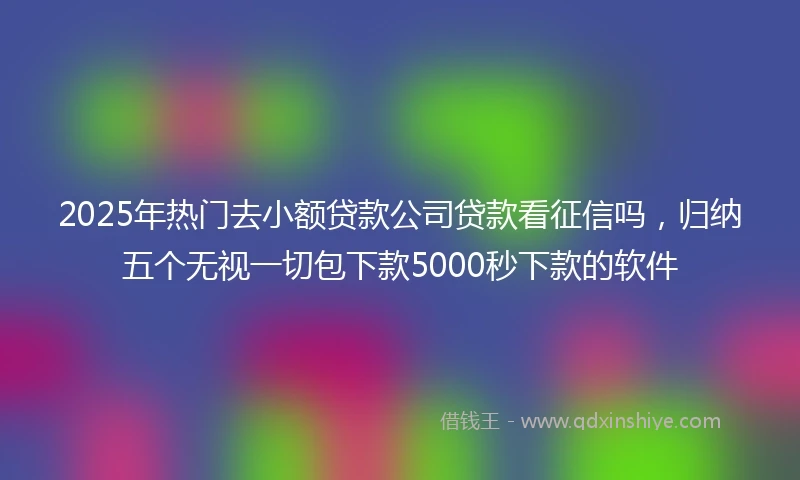 2025年热门去小额贷款公司贷款看征信吗，归纳五个无视一切包下款5000秒下款的软件
