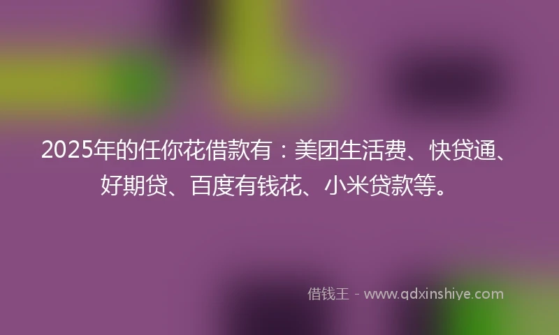 2025年的任你花借款有:美团生活费、快贷通、好期贷、百度有钱花、小米贷款等。