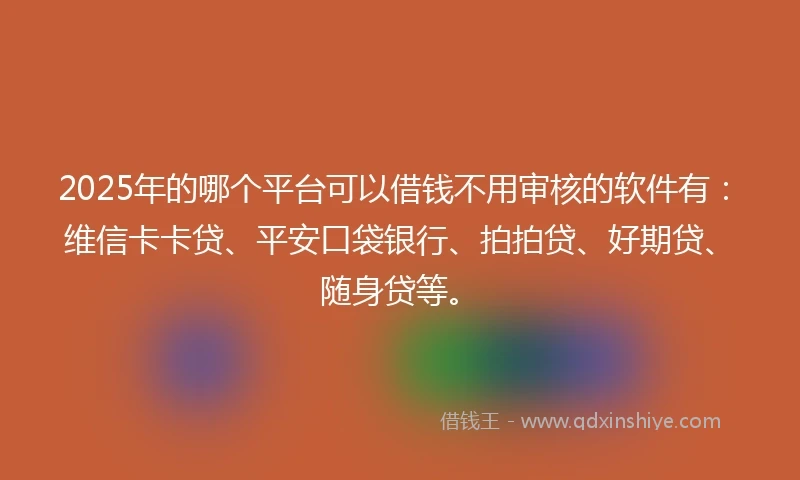 2025年的哪个平台可以借钱不用审核的软件有：维信卡卡贷、平安口袋银行、拍拍贷、好期贷、随身贷等。