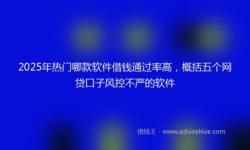2025年热门哪款软件借钱通过率高，概括五个网贷口子风控不严的软件
