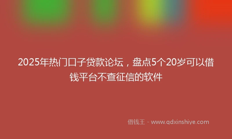 2025年热门口子贷款论坛，盘点5个20岁可以借钱平台不查征信的软件