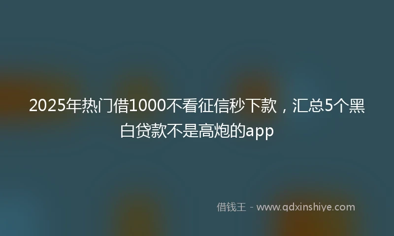 2025年热门借1000不看征信秒下款，汇总5个黑白贷款不是高炮的app