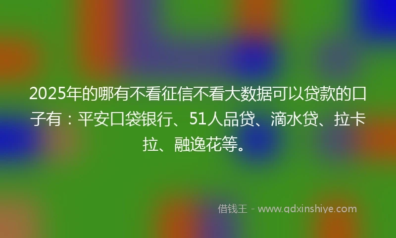 2025年的哪有不看征信不看大数据可以贷款的口子有：平安口袋银行、51人品贷、滴水贷、拉卡拉、融逸花等。