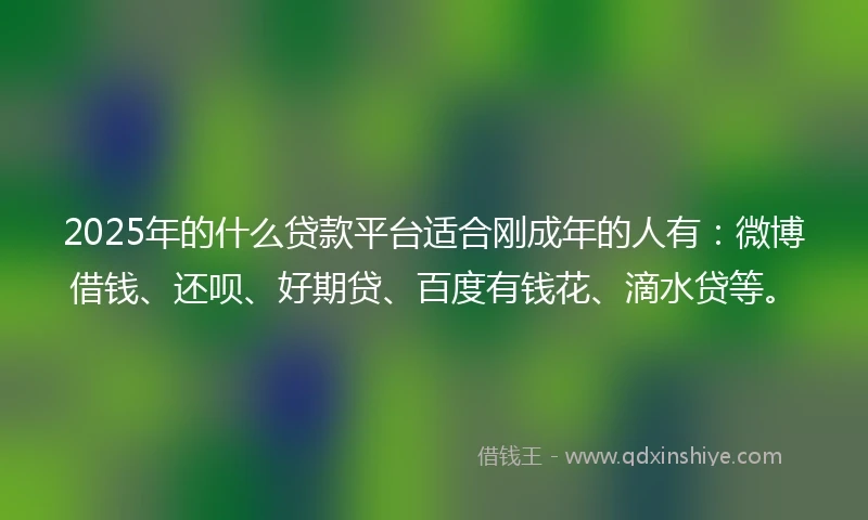 2025年的什么贷款平台适合刚成年的人有：微博借钱、还呗、好期贷、百度有钱花、滴水贷等。