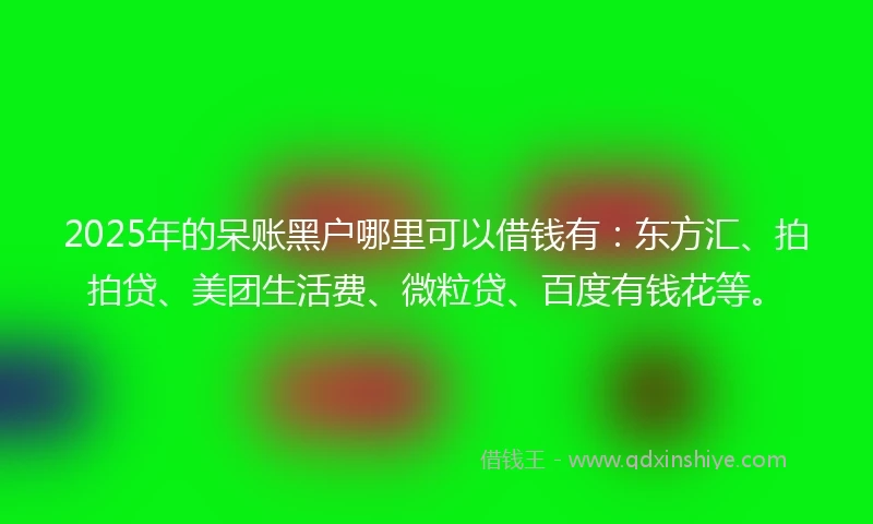 2025年的呆账黑户哪里可以借钱有：东方汇、拍拍贷、美团生活费、微粒贷、百度有钱花等。