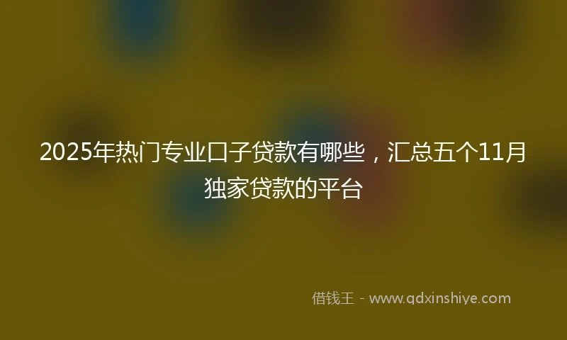 2025年热门专业口子贷款有哪些，汇总五个11月独家贷款的平台