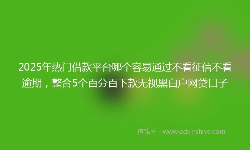 2025年热门借款平台哪个容易通过不看征信不看逾期，整合5个百分百下款无视黑白户网贷口子