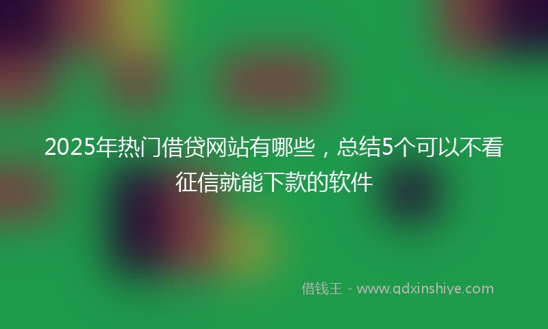 2025年热门借贷网站有哪些，总结5个可以不看征信就能下款的软件
