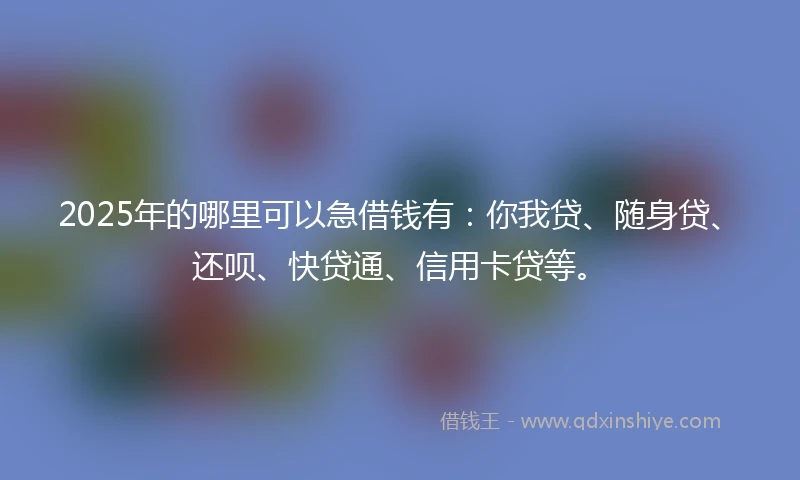 2025年的哪里可以急借钱有：你我贷、随身贷、还呗、快贷通、信用卡贷等。