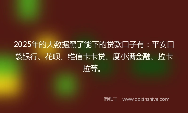 2025年的大数据黑了能下的贷款口子有：平安口袋银行、花呗、维信卡卡贷、度小满金融、拉卡拉等。