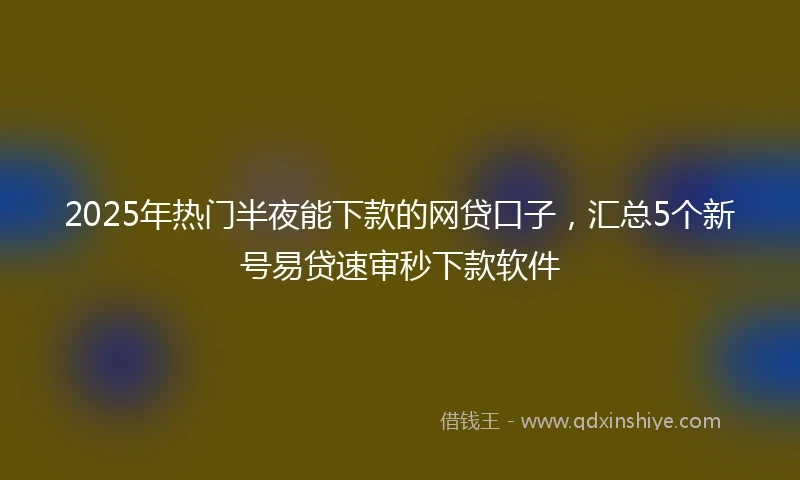 2025年热门半夜能下款的网贷口子，汇总5个新号易贷速审秒下款软件