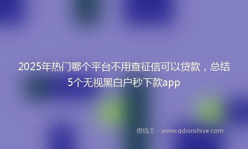 2025年热门哪个平台不用查征信可以贷款,总结5个无视黑白户秒下款app