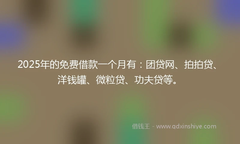 2025年的免费借款一个月有：团贷网、拍拍贷、洋钱罐、微粒贷、功夫贷等。