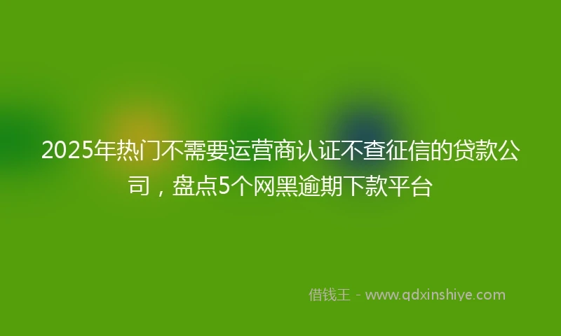 2025年热门不需要运营商认证不查征信的贷款公司，盘点5个网黑逾期下款平台