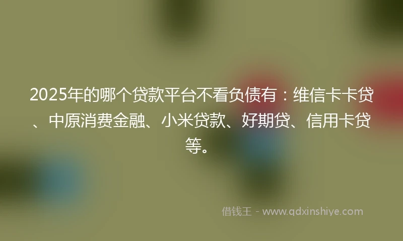 2025年的哪个贷款平台不看负债有：维信卡卡贷、中原消费金融、小米贷款、好期贷、信用卡贷等。