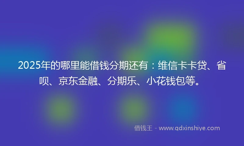 2025年的哪里能借钱分期还有：维信卡卡贷、省呗、京东金融、分期乐、小花钱包等。