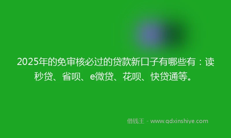 2025年的免审核必过的贷款新口子有哪些有：读秒贷、省呗、e微贷、花呗、快贷通等。