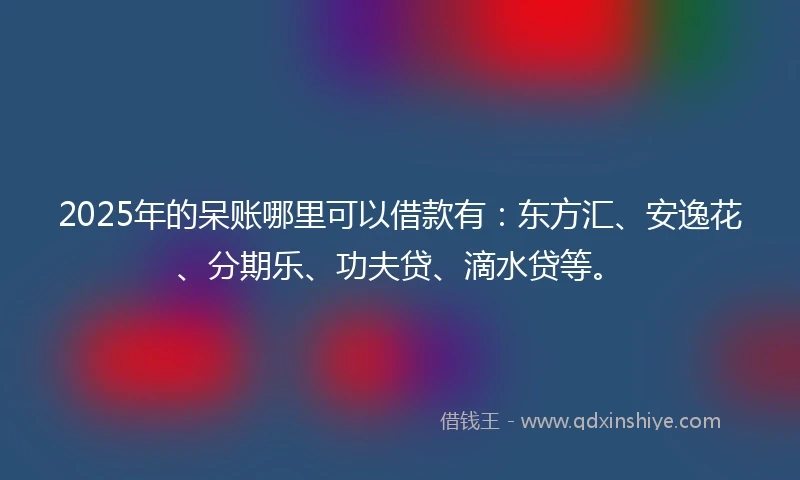 2025年的呆账哪里可以借款有：东方汇、安逸花、分期乐、功夫贷、滴水贷等。