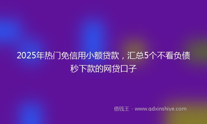 2025年热门免信用小额贷款，汇总5个不看负债秒下款的网贷口子