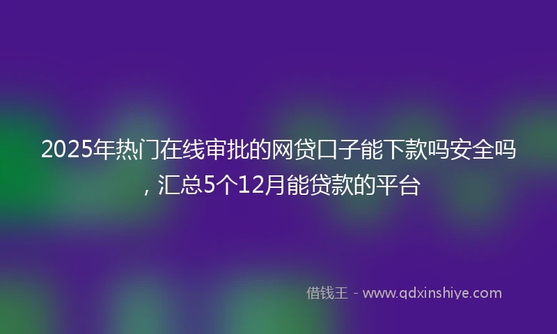 2025年热门在线审批的网贷口子能下款吗安全吗，汇总5个12月能贷款的平台
