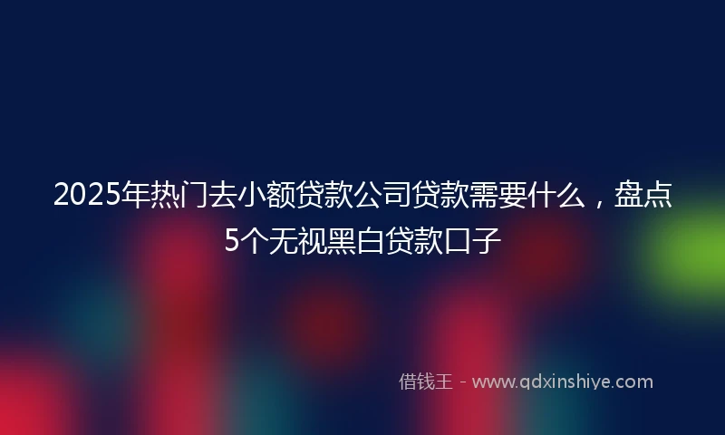 2025年热门去小额贷款公司贷款需要什么，盘点5个无视黑白贷款口子